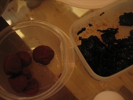 090912sinnmai-ume tukudani.jpg